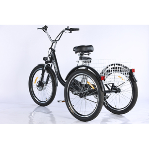 <span class=keywords><strong>Tricycle</strong></span> électrique à cadre en aluminium de 24 pouces 350W, trike cargo <span class=keywords><strong>pour</strong></span> adultes avec frein à disque et panier avant, trike électrique - Product Image 5