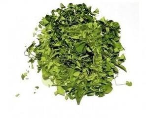 Oferta Especial: Hojas de Moringa Frescas, Orgánicas y Naturales Secadas al Aire para Preparación de Té, Procesamiento de Polvo y Productos para la Salud, Disponibles para Exportación - Product Image 3