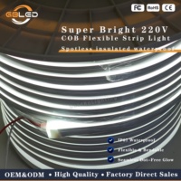 Tira de Neón Flexible IP67 de 12V 1212 120LEDs/M 3000K 4000K 6000K, Silicona Flexible para Paisajismo, Hoteles, Señalización, CE RoHS