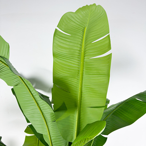 Mô Phỏng 200Cm Trong Chậu Cây Chuối Nhân Tạo Cây Chuối Giả Cây Cây Cho Nhà Trong Nhà Văn Phòng Trang Trí - Product Image 5