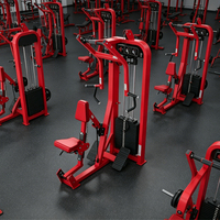 Liva LH-09 Appareil de musculation commercial à charge par poulie, poste unique, pour entraînement des muscles du bas du dos, pour club de fitness