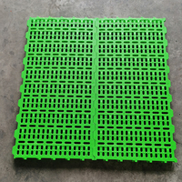 Nouveau Tapis de Sol Renforcé en Plastique à Lattes pour Ferme Caprine et Ovine, Haute Qualité, 100x50cm