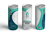 Ligne de production automatique de remplissage d'eau riche en hydrogène, équipement d'eau fonctionnelle en conserve et en sachets, usine d'eau à haute productivité