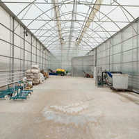 Structure commerciale de serre à travée multiple avec système hydroponique à vendre