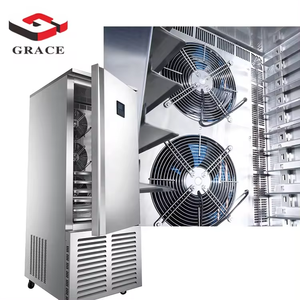 Evaporador Cold Grace Air Machine Venta Directa 30 Bandejas Doble Puerta Blast Chiller Shock <span class=keywords><strong>Freezer</strong></span> para Restaurante - Product Image 2
