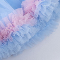 Nouveautés 2026 : Tutu de ballet populaire et très demandé pour la performance de danse