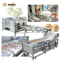 2000 kg/h Zwiebel-Wurzelentfernungs- und Waschmaschine, Multifunktions-Zwiebelschneider, Zwiebelwürfel-Produktionslinie