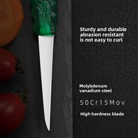 Abs Transparant Plastic Drakenhandvat Lage Prijs Roestvrijstalen Fruitsnijmes Set Groentesnijmes