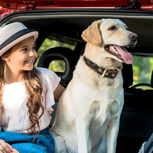 Tali dan kalung hewan peliharaan kerah tali anjing kucing kulit Vegan Pu tahan air kotak-kotak bergaya baru - Product Image 6