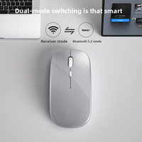 Souris sans fil rechargeable Bluetooth double mode, souris d'ordinateur silencieuse avec lumière RGB, 2.4G USB pour ordinateur portable, PC, bureau