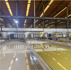 Ligne de trempage de peinture liquide d'électrophorèse d'usine d'e-coating pièces d'auto