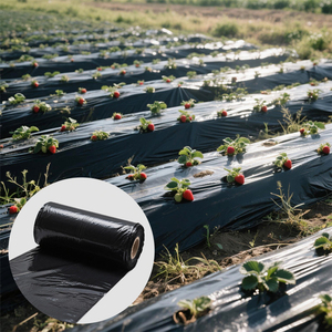 Película de Cobertura Biodegradable de Polietileno Negro y Plateado para Invernadero, Supresor de Malezas, Uso Agrícola - Product Image 1