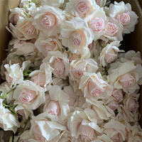 B-1349 Promotion : Décoration d'arche de mariage européenne, grandes têtes de roses artificielles en soie rose champagne à longues tiges, vente en gros