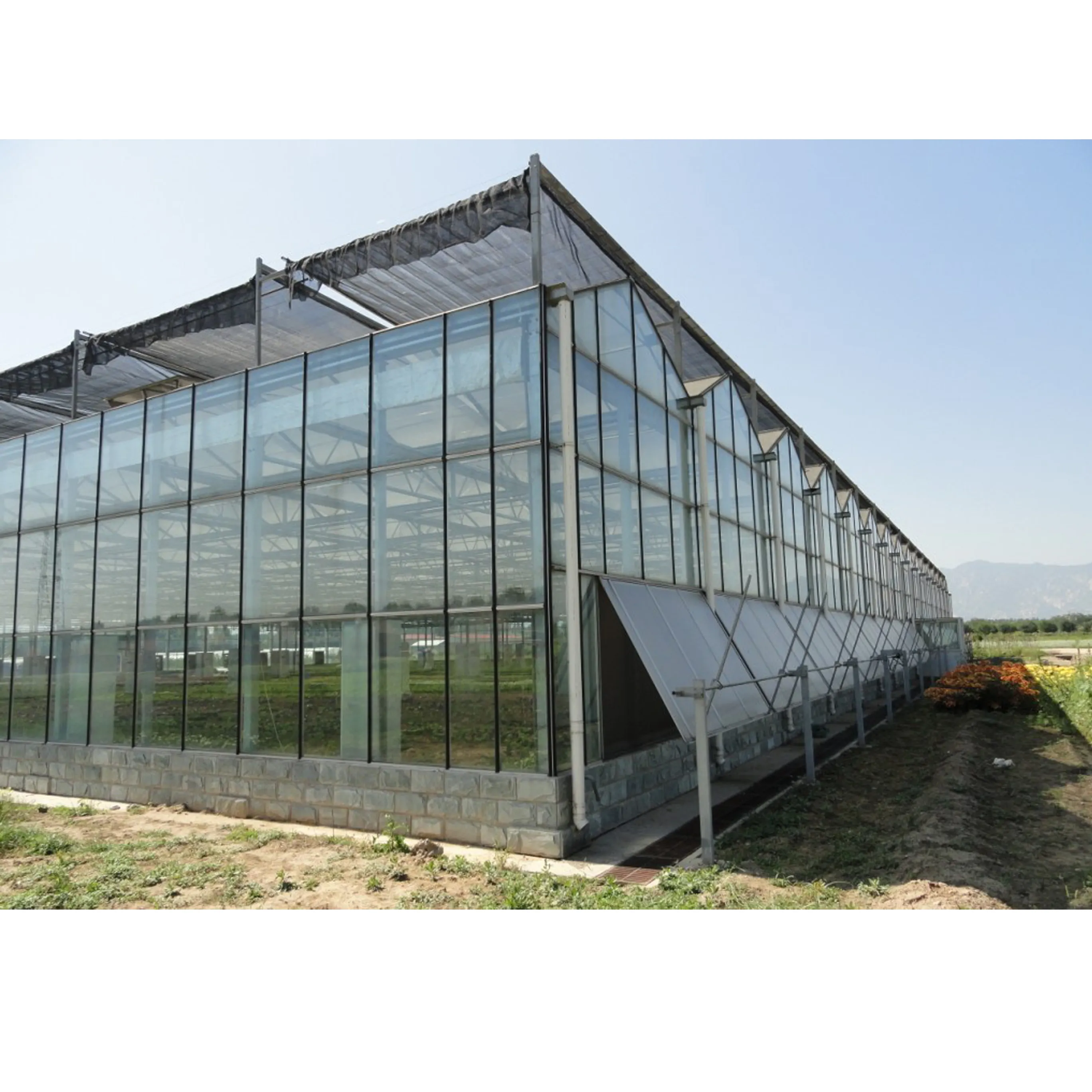 Multi-span serre agricole di vetro verde casa con verticale fattoria coltiva tavolo