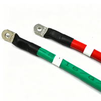 Câble de batterie rouge-vert personnalisé avec fil de cuivre étamé et borne à anneau pour stockage d'énergie, connexion d'onduleur