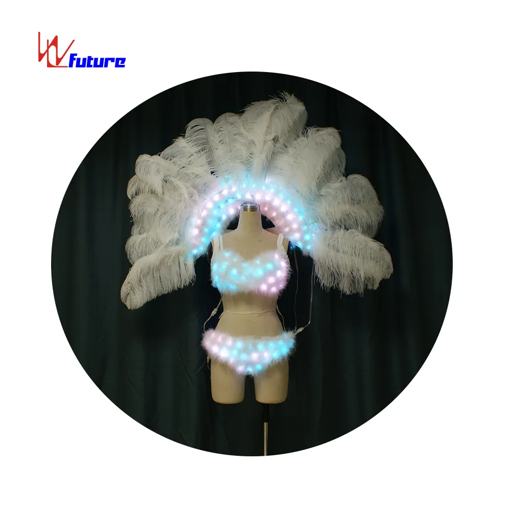 WL-0187 lumière LED carnaval danse Costumes ailes sac à dos Showgirl Costume Performance exotique Dancewear brésil fait à la main adultes