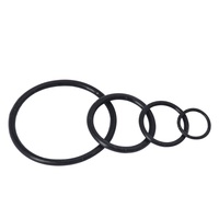 Joints toriques personnalisés de haute précision Fpm Fkm Hnbr Nbr Fkm Silicone Epdm Rubber O-ring Joints toriques