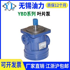 Pompe à palettes hydraulique série YBD haute pression, tête de pompe à huile hydraulique en tailles 6.3/10/16/20/25/32/40/63/80/100 pour applications hydrauliques - Product Image 4