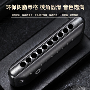 Armonica Metallica FEIFAN a 10 Fori in Do Maggiore Blues QF10, <span class=keywords><strong>Set</strong></span> da 6 Pezzi per Principianti, Studenti, Adulti e Professionisti - Product Image 3