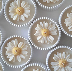 เทียนหอมรูปดอกเดซี่ขนาดเล็ก แบบกำหนดเองได้ ขายส่งจากโรงงาน บรรจุในถ้วยยิปซัม ของขวัญสุดสร้างสรรค์ - Product Image 2