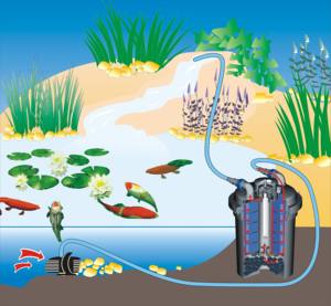 Système de <span class=keywords><strong>filtre</strong></span> de presse bio d'étang <span class=keywords><strong>Uv</strong></span> <span class=keywords><strong>filtre</strong></span> à tambour d'étang Koi pour CPF-15000 agricole de pêche <span class=keywords><strong>18W</strong></span> UVC 10000L/H 38L - Product Image 6