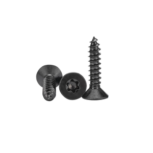 Viti Autofilettanti a <span class=keywords><strong>Testa</strong></span> <span class=keywords><strong>Svasata</strong></span> Torx in Acciaio Inox 304 Zincate Nero Lucido (Multi-Misura) - Product Image 1