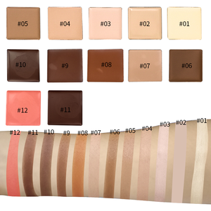 6-צבע diy איפור קונסילר קרם לוח לוח צבעים טבעי העור ערכת תיקון עם בסיס צבע חינם - Product Image 5