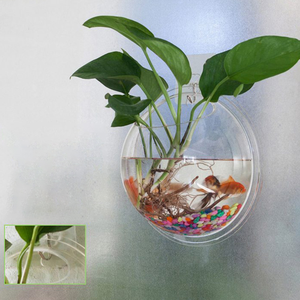צורה עגולה קיר רכוב דגי קערת אקווריום, קטן מותאם אישית טנקי דגים @ - Product Image 3