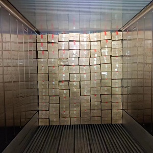 Cá basa đông lạnh tiêu chuẩn xuất khẩu, cá pangasius Việt Nam, cá nguyên con từ sông Cửu Long, cá basa đông lạnh Malaysia, chất lượng cao - Product Image 6