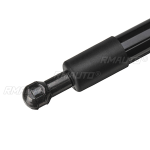 Barres de soutien hydrauliques pour hayon arrière DZ43200 pour Ford F150 2004 2005 2006 2007 2008 2009 - 2014 - Product Image 5