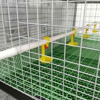 Cages à Poulets de Chair en Batterie pour Élevage Avicole, Système d'Élevage en H de 3/4 Niveaux pour 60/80 Oiseaux