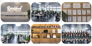 Gluconate de <span class=keywords><strong>zinc</strong></span> de qualité HACCP, fourni par l'usine, CAS 4468-02-4, poudre de gluconate de <span class=keywords><strong>zinc</strong></span> pure à 99% - Product Image 4