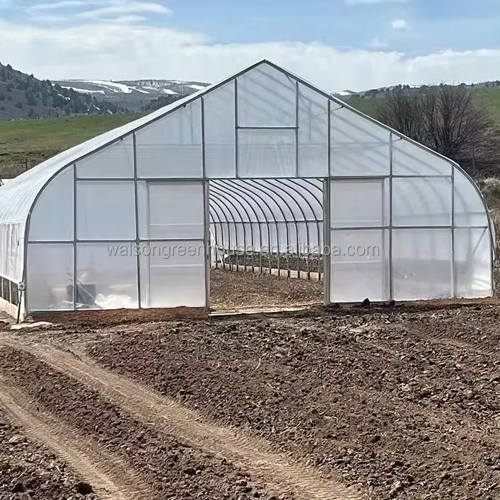 कृषि के लिए कम लागत वाली सिंगल स्पैन प्लास्टिक फिल्म ग्रीनहाउस टनल ग्रीनहाउस