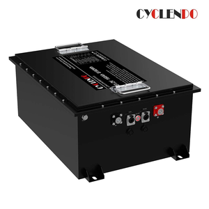 48V 160Ah 골프 카트 배터리 관광용 차량 LSV (저속 차량 클럽 카) 6000 사이클 리튬인산철 배터리(충전기 포함) - Product Image 3