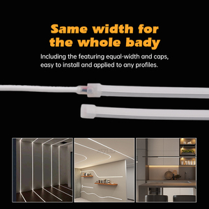 Prix fabricant - Bande LED flexible blanc chaud neutre, intérieur et extérieur, étanche IP65, 12v24v, néon LED flexible - Product Image 5