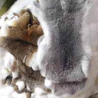 Peau de lapin 100% naturelle, véritable, 45*26CM, fourrure de lapin brute multicolore pour vêtements, sacs, chaussures, chapeaux, décoration, OEM, ODM, vente en gros