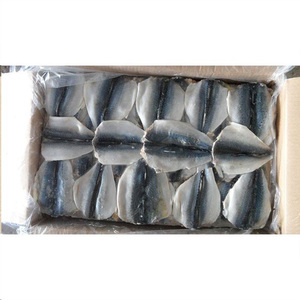 Filets de maquereau du Pacifique <span class=keywords><strong>Saba</strong></span> surgelés IQF Prix 200-400 IQF avec peau Usine chinoise Vente en gros - Product Image 2