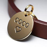 Silenciador de metal de acero inoxidable con logotipo personalizado, Collar de grabado por sublimación, etiquetas para perro, identificación de Nombre de mascota, etiqueta de hueso en blanco para perro