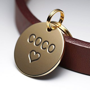 कस्टम लोगो स्टेनलेस स्टील धातुओं रवशामक बनाने की क्रिया उत्कीर्णन कॉलर कुत्ते टैग नाम आईडी पालतू रिक्त हड्डी कुत्ते टैग - Product Image 4