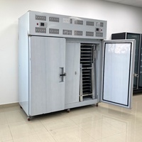 Machine de refroidissement rapide à plaques en acier inoxydable de haute qualité avec moteur pour aliments surgelés (crabe, poisson) – Faible coût d'entretien