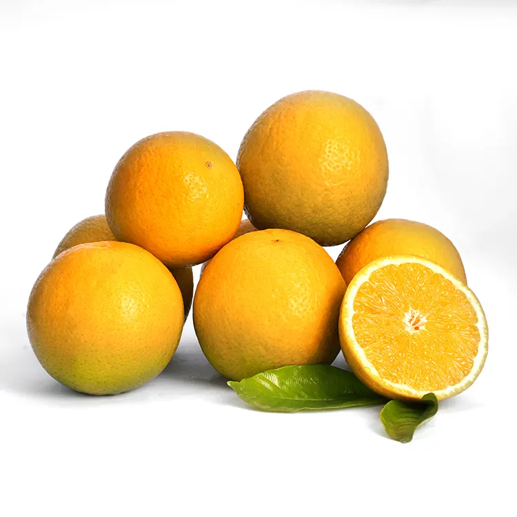 2023 Nieuwe Egyptische Valencia Oranje Fruit, Navel Sinaasappelen Voor Export