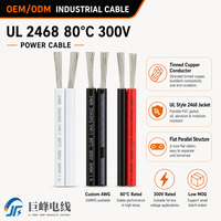 Fil plat parallèle UL2468 26AWG 24AWG 22AWG 20AWG 18AWG 80 ℃   Câble en PVC noir homologué UL 300V