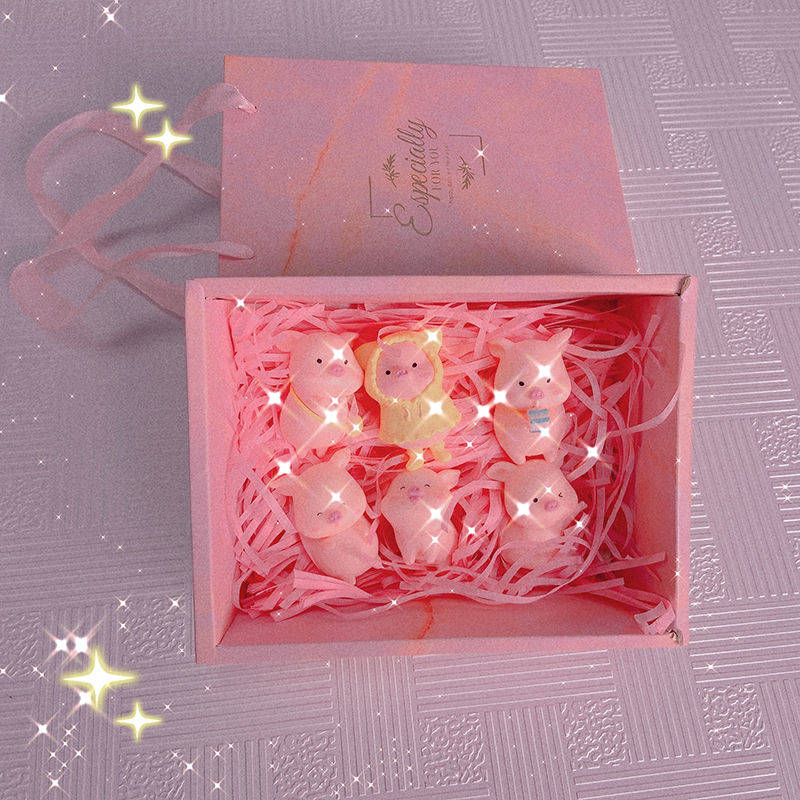Net Red 6 Gift Boxes Cute Cartoon Raincoat Piggy Crafts Decoration Fashion Creative Decoration