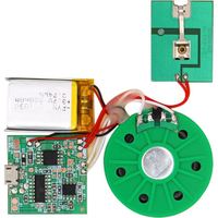 Puce de capteur de lumière pré-enregistrée 4Mb Module de système de son actif Mp3 Module de reconnaissance vocale de lecture vocale pour jouet artisanal cadeau