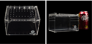 Floresan manyetik akrilik atlama örümcek kertenkele küp Treehouse - Product Image 2