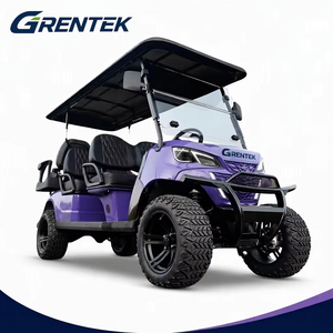 Carrito de Golf Eléctrico de Alto Rendimiento con Batería de Litio Personalizable, Precio de Fábrica, Buggy para Uso en Carreteras No Públicas - Product Image 1