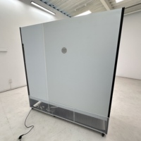 Frost Free Single-Temperature Mechanical Air Cooling Beverage Display Cabinet Tempered Glass Door Drink Cooler for Soda Juice