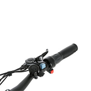 Olanda Regno Unito Olandese Facile Nascosta Batteria Rimovibile Strada Legale Su Strada Retro Hub E Città Degli Uomini <span class=keywords><strong>28</strong></span> 700C Urbano <span class=keywords><strong>Bici</strong></span> Elettrica - Product Image 4