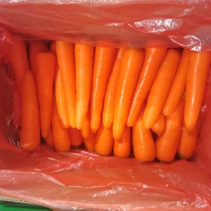 Récolte de carottes Qualité supérieure Carottes fraîches en gros Prix bon marché Légumes naturels sains - Product Image 5