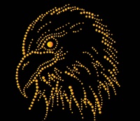 Vente en gros de motifs de fer à transfert de chaleur avec logo personnalisé sur des patchs modèle transfert de feuille conception de motif presse à chaud transfert de strass